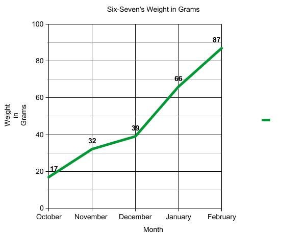 Graph of terrapin weight.