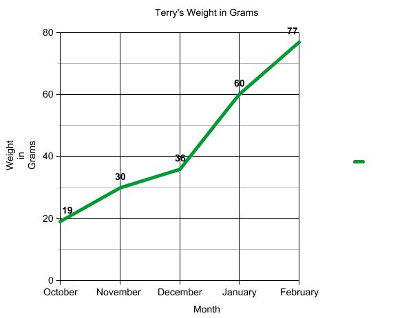 Graph of terrapin weight.