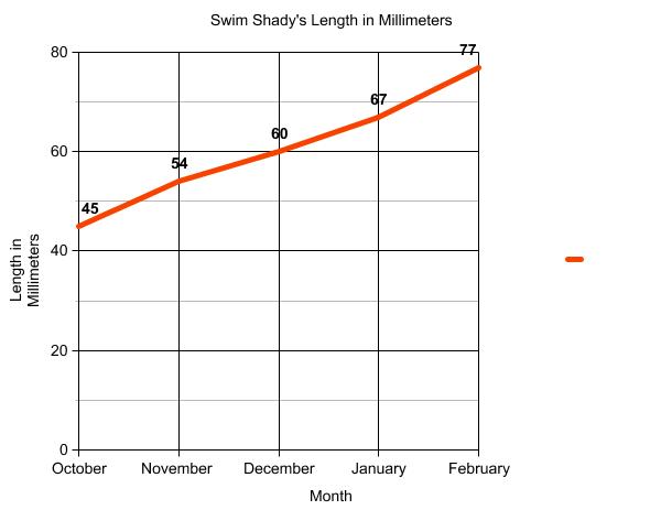 Graph of terrapin length.