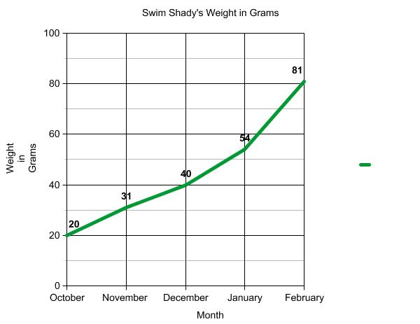 Graph of terrapin weight.