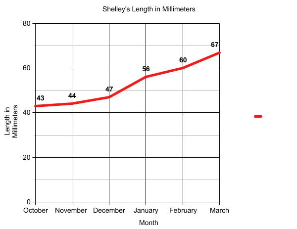 Graph of terrapin length.