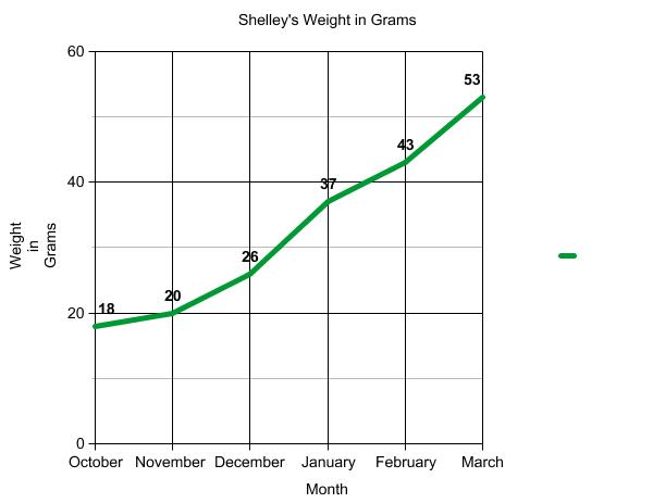Graph of terrapin weight.