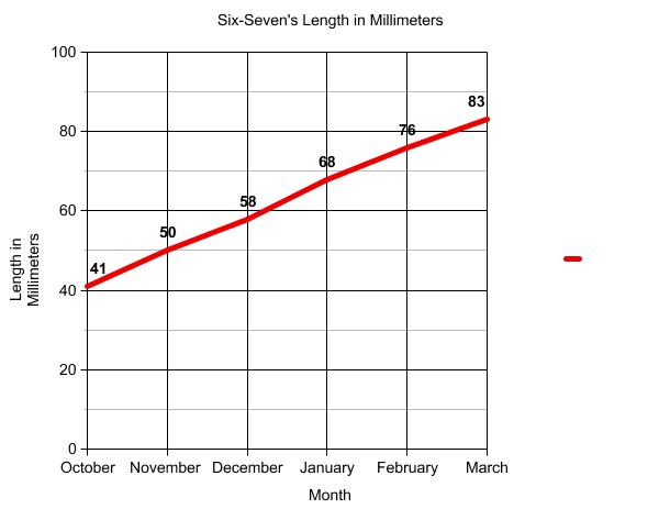 Graph of terrapin length.