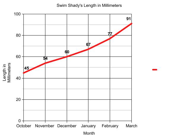 Graph of terrapin length.