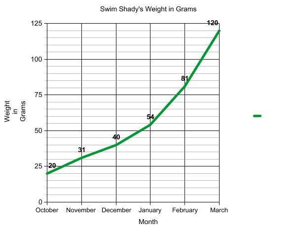Graph of terrapin weight.