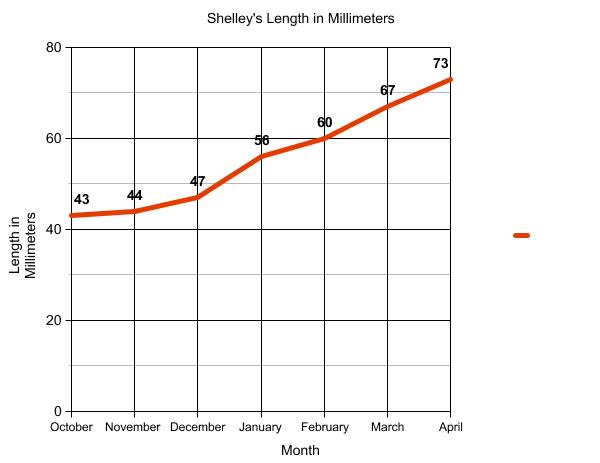 Graph of terrapin length.