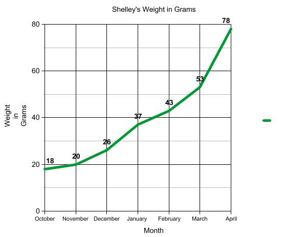 Graph of terrapin weight.