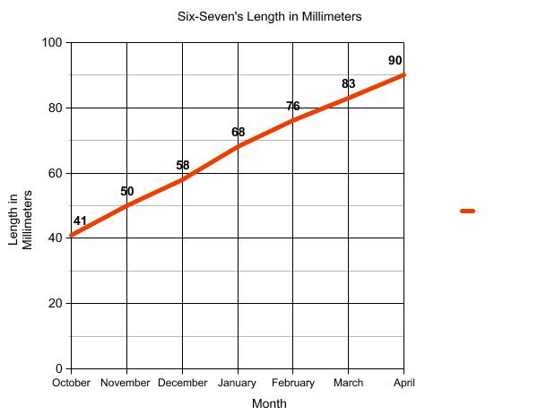 Graph of terrapin length.