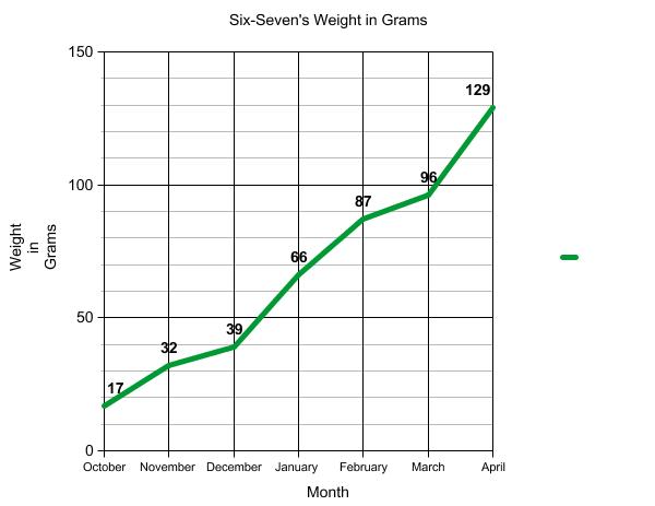 Graph of terrapin weight.
