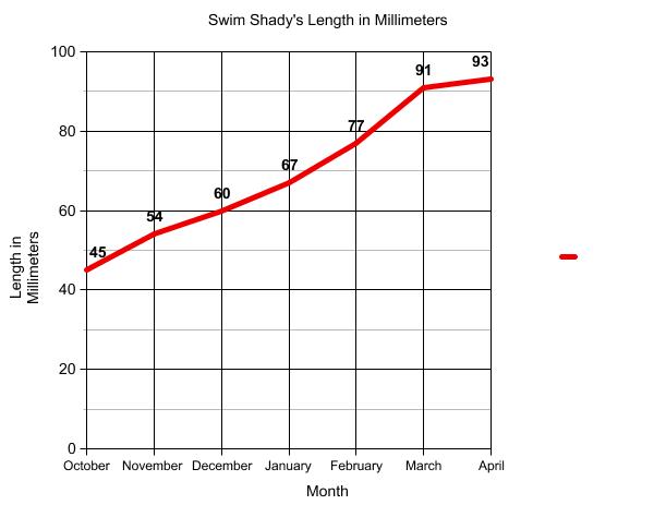 Graph of terrapin length.