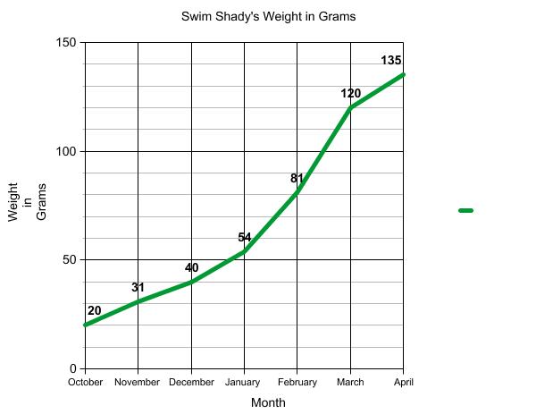Graph of terrapin weight.