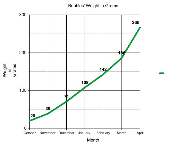 Graph of terrapin weight.